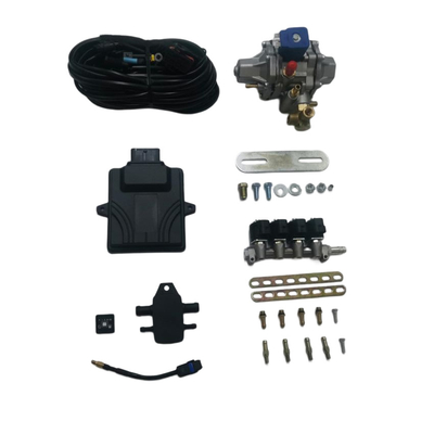 CNG Mini Conversion Kit Dengan 48 Pin ECU 4 Cylinder Injector Rail Untuk Mobil CNG GNV