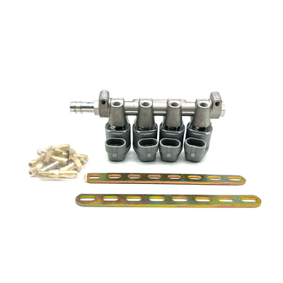 Sistem Injeksi Bahan Bakar LPG CNG 2 Ohm Atau 3 Ohm Grey Injector Rail untuk Autogas