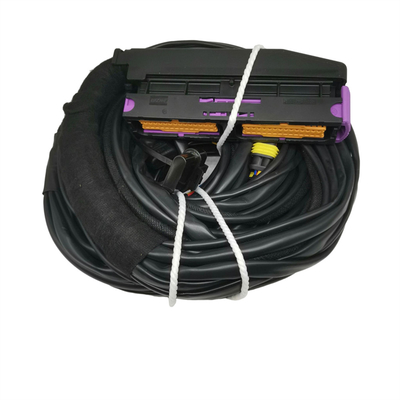 OEM Diterima ISO9001 Waterproof Mobil Kabel Harness Untuk 56 Pin ECU