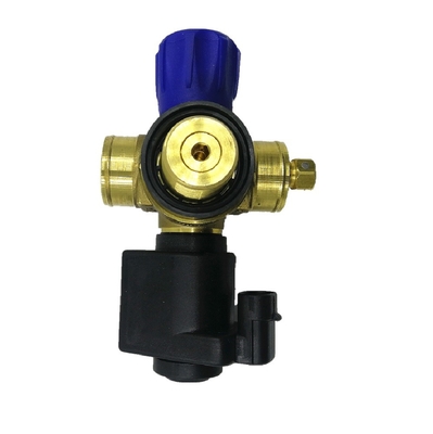 Solenoid CNG Silinder Valve Mobil Gas Valve DC12V Untuk Sistem Bahan Bakar Gas Otomatis