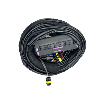 4 Silinder ECU Multipoint Fuel Injeksi Harness 56 Pin CNG LPG Auto Tali pengaman