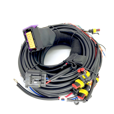 CNG LPG Sequential Injeksi 24 Pin Mobil Tali pengaman Untuk 4 Silinder ECU