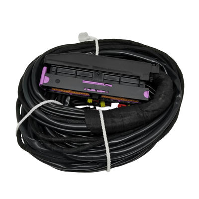 Harga yang bagus 56 Pin ECU Wiring Harness dengan Multiple Connector dan Perlindungan Pipe PVC on line