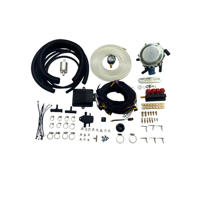 Kit Konversi LLANO CNG Autogas Untuk Kit Peredam LOV090 24 Pin 4 Silinder