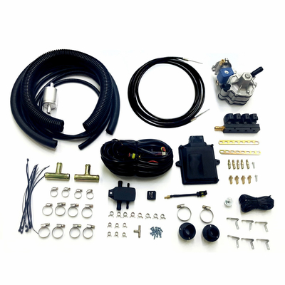 Kit Konversi Multipoint LPG Untuk Sistem Injeksi Berurutan Otomatis LPG CNG 48 Pin