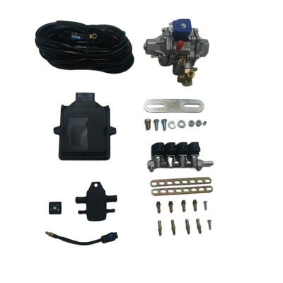 CNG Mini Conversion Kit Dengan 48 Pin ECU 4 Cylinder Injector Rail Untuk Mobil CNG GNV