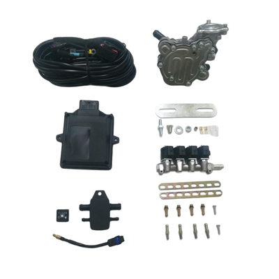 48 Pin ECU 4 Cylinder Injector Rail LPG Mini Konversi Kit Untuk Mobil LPG GPL