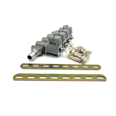 Sistem Injeksi Bahan Bakar LPG CNG 2 Ohm Atau 3 Ohm Grey Injector Rail untuk Autogas