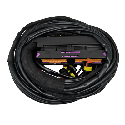 Mobil Mobil Cabling Harness Multiple Connector Type untuk Kinerja 12V Optimal