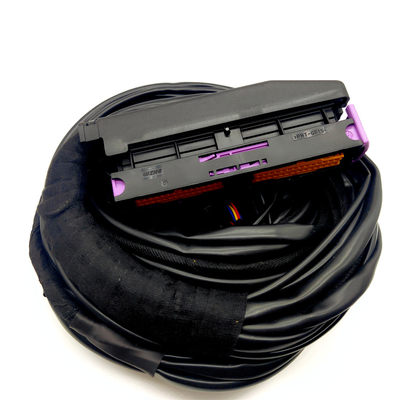 OEM Diterima ISO9001 Waterproof Mobil Kabel Harness Untuk 56 Pin ECU