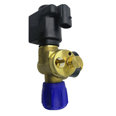 Solenoid CNG Silinder Valve Mobil Gas Valve DC12V Untuk Sistem Bahan Bakar Gas Otomatis