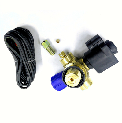 Solenoid CNG Silinder Valve Mobil Gas Valve DC12V Untuk Sistem Bahan Bakar Gas Otomatis