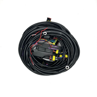 4 Silinder ECU Multipoint Fuel Injeksi Harness 56 Pin CNG LPG Auto Tali pengaman