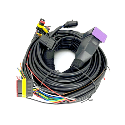 CNG LPG Sequential Injeksi 24 Pin Mobil Tali pengaman Untuk 4 Silinder ECU