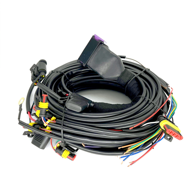 CNG LPG Sequential Injeksi 24 Pin Mobil Tali pengaman Untuk 4 Silinder ECU