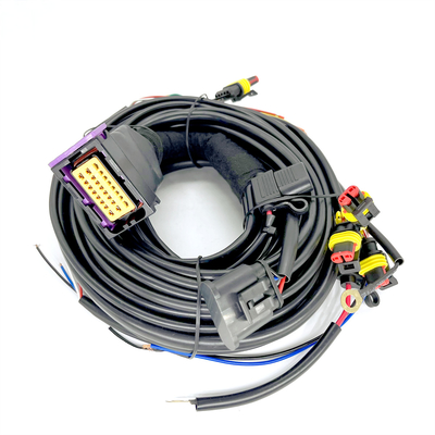 CNG LPG Sequential Injeksi 24 Pin Mobil Tali pengaman Untuk 4 Silinder ECU