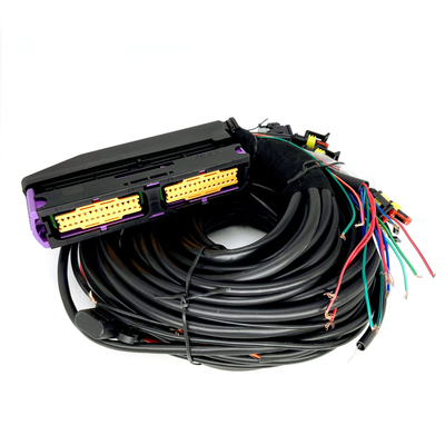 Multipoint CNG LPG Automotive Tali pengaman 56 Pin Untuk 6 Silinder ECU