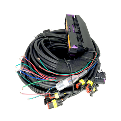 Multipoint CNG LPG Automotive Tali pengaman 56 Pin Untuk 6 Silinder ECU