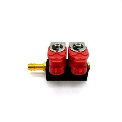 2 Silinder 3Ohm CNG LPG Penyuntik Rel Fuel Penyuntik Rel Untuk Sistem Konversi Autogas